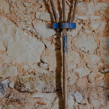 Séjour à la ferme Aba Da Serra - *