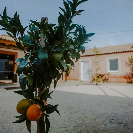 Aba Da Serra - *