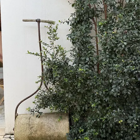 Aba Da Serra - Séjour à la ferme Abrigada