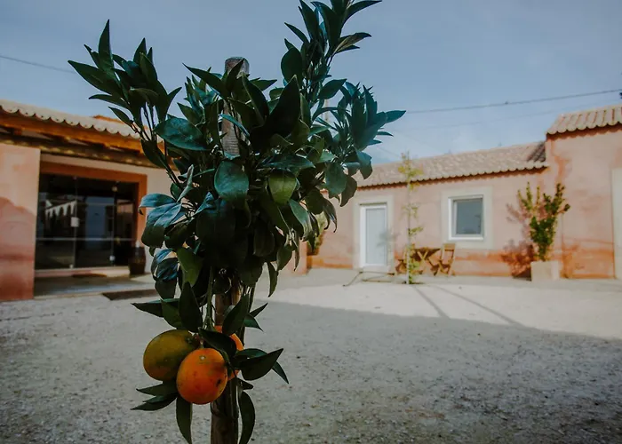 Aba Da Serra - *