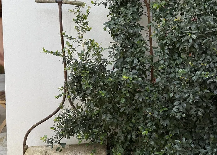 Aba Da Serra - Alloggio per agriturismo Abrigada